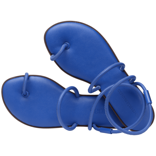Rasteirinha Havaianas Una Pitanga - Image 6