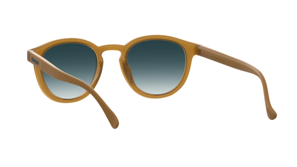 Óculos de Sol Havaianas Cedro - Image 5